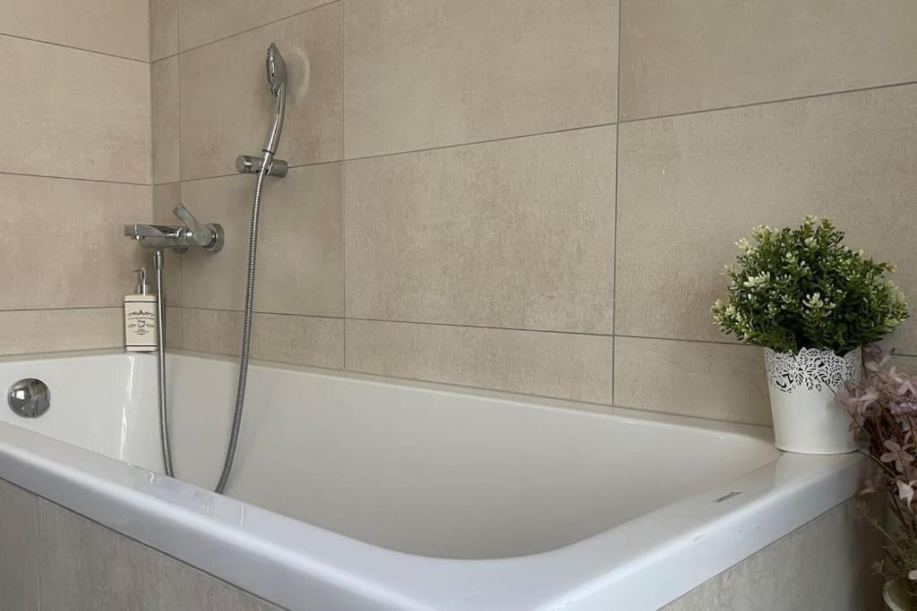Antica Dimora Pt Apartment Coldrerio ภายนอก รูปภาพ